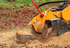 Best Leaf Removal  in Anahuac, TX