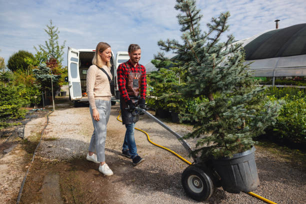Best Commercial Tree Services  in Anahuac, TX